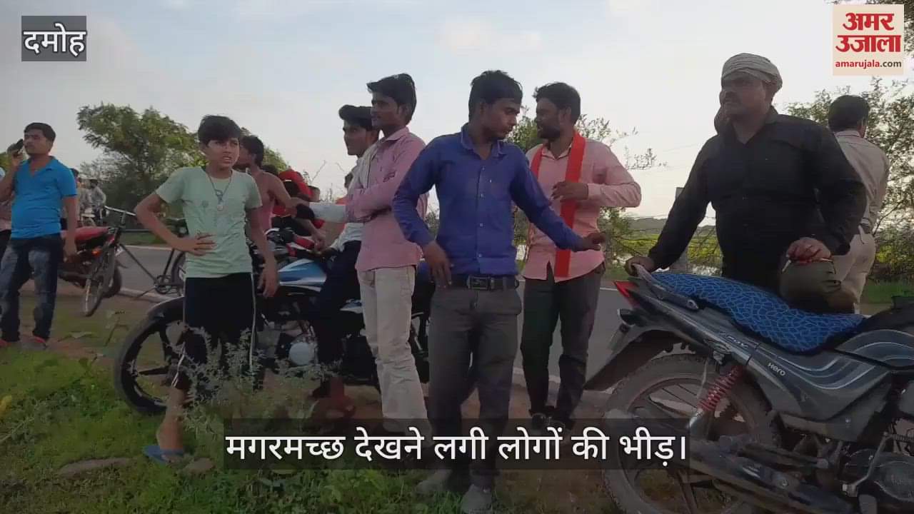 Crocodile seen in the pond near Banwar