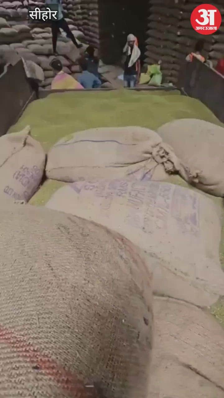 Sehore news: Rigging in moong purchase in Rehti, surveyor was taking bribe online, video viral