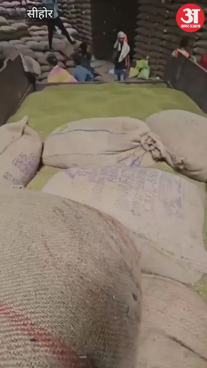 Sehore news: Rigging in moong purchase in Rehti, surveyor was taking bribe online, video viral