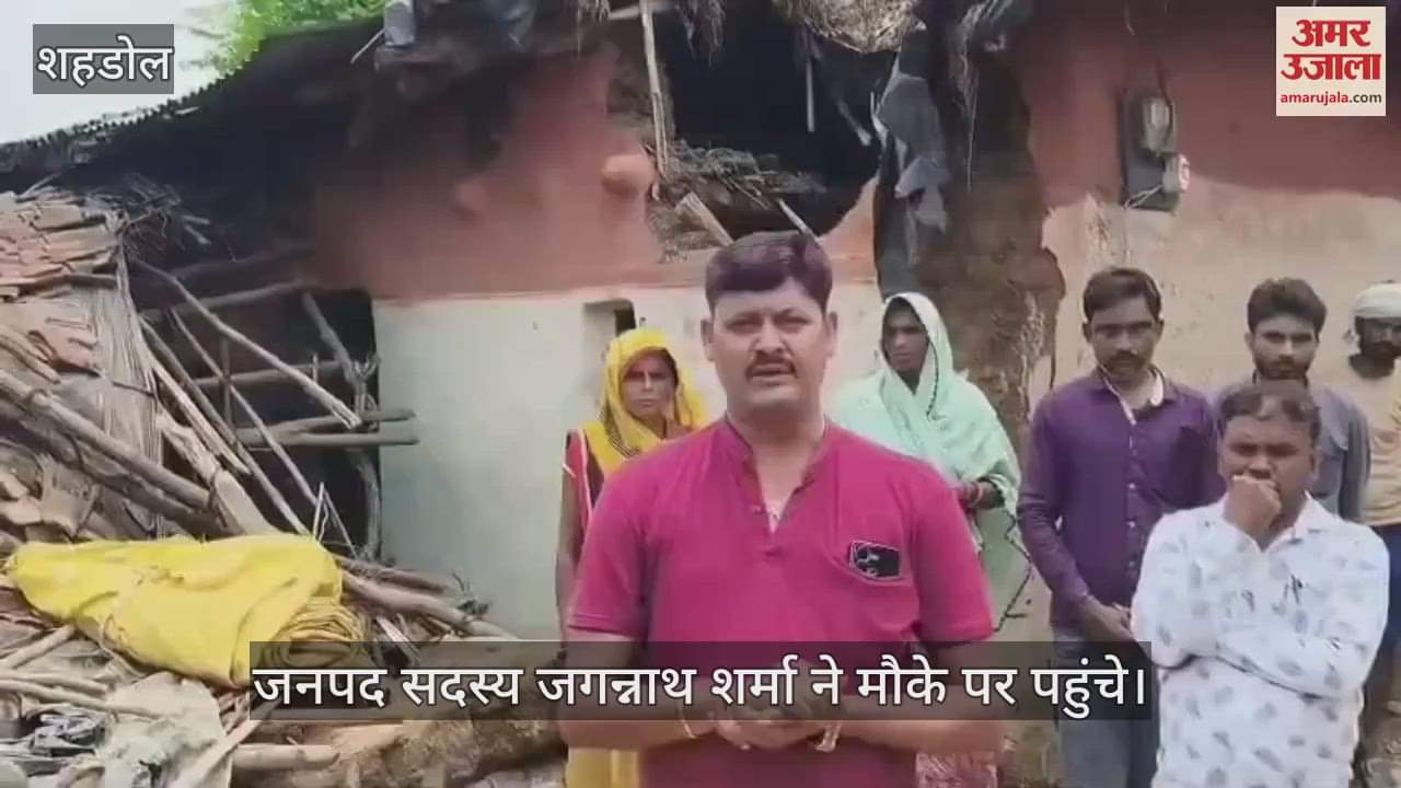 All four elephants returned to Budhar again, caused destruction, forest department is monitoring