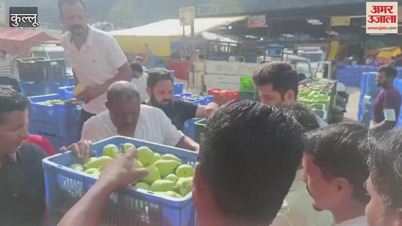 Kullu Pears were bid at Rs 60 per kg