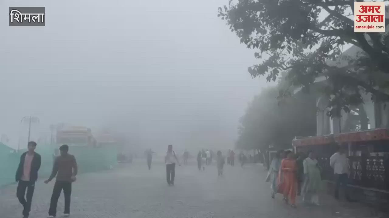 Himachal Weather Dense fog in Shimla drivers driving with lights on