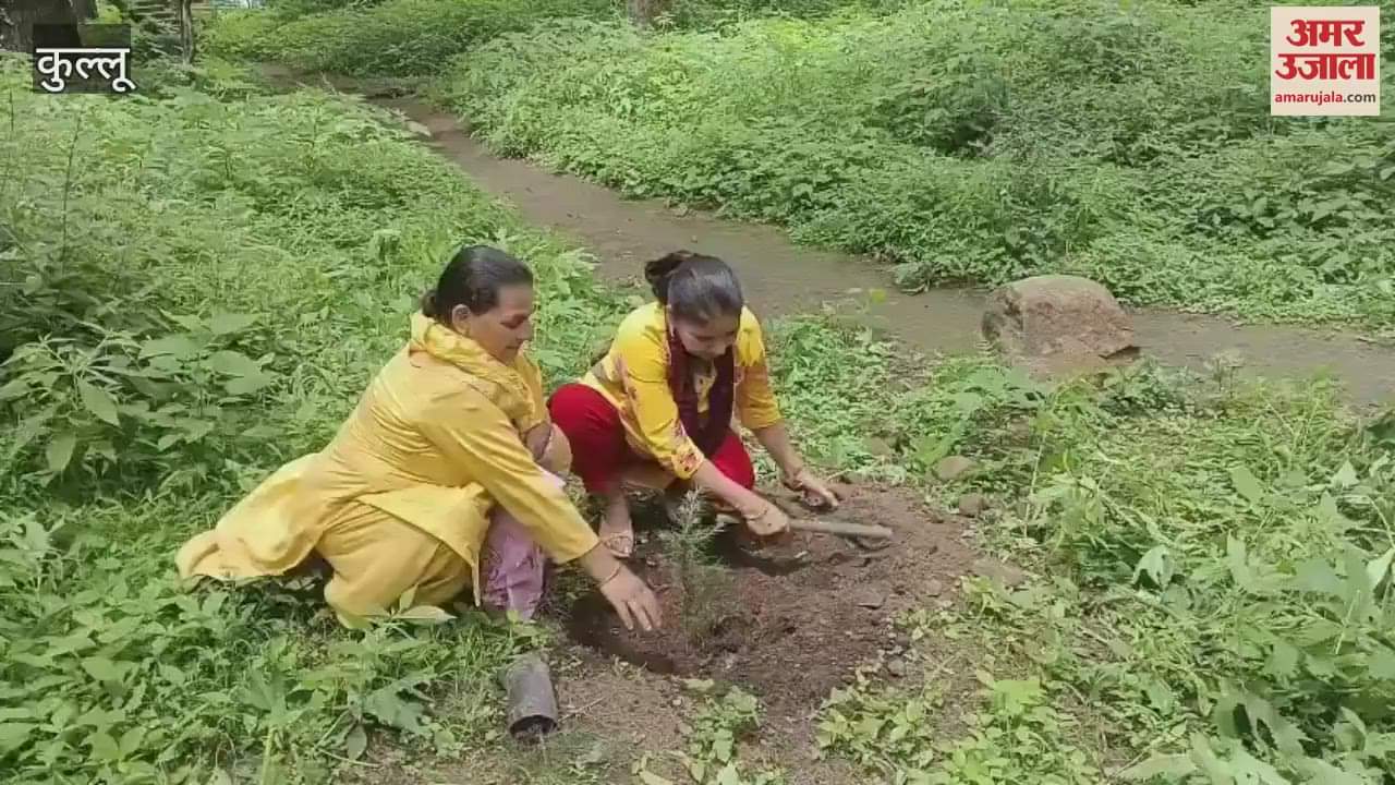 Kullu BJP tree plantation in Manali 100 saplings planted in Van Vihar