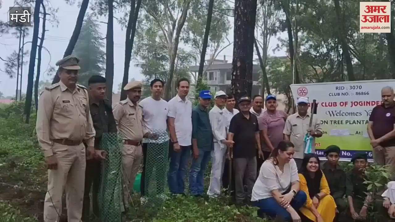 Mandi Now a gathering of elders will be organized in the medicinal garden of the forest department