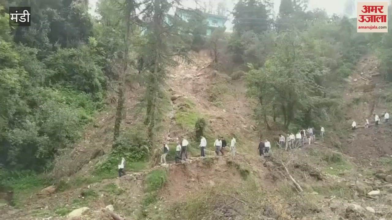 Mandi The central team took stock of the damage in the disaster affected areas of Thunag and Janjheli