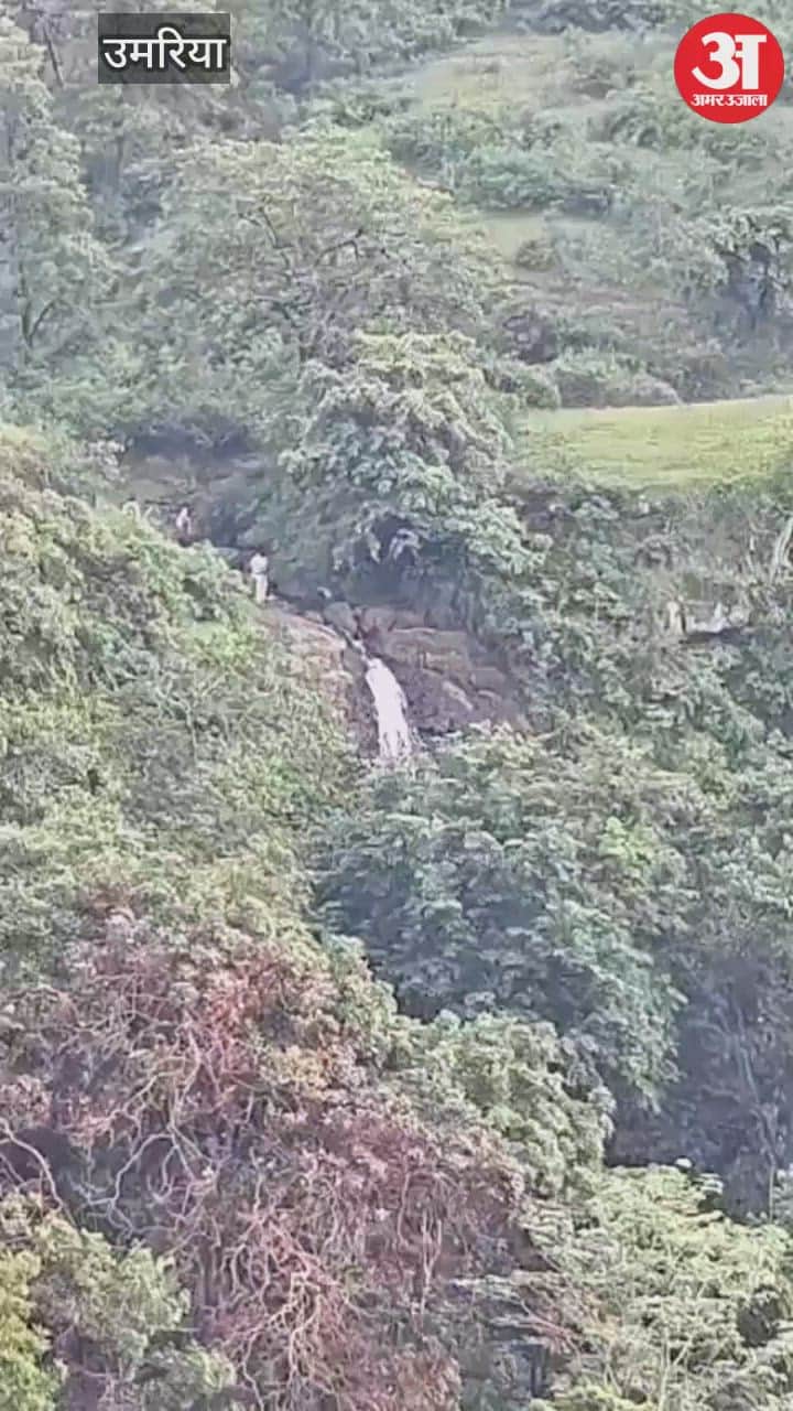 18-year-old youth fell into a 50 feet deep ditch while taking a selfie