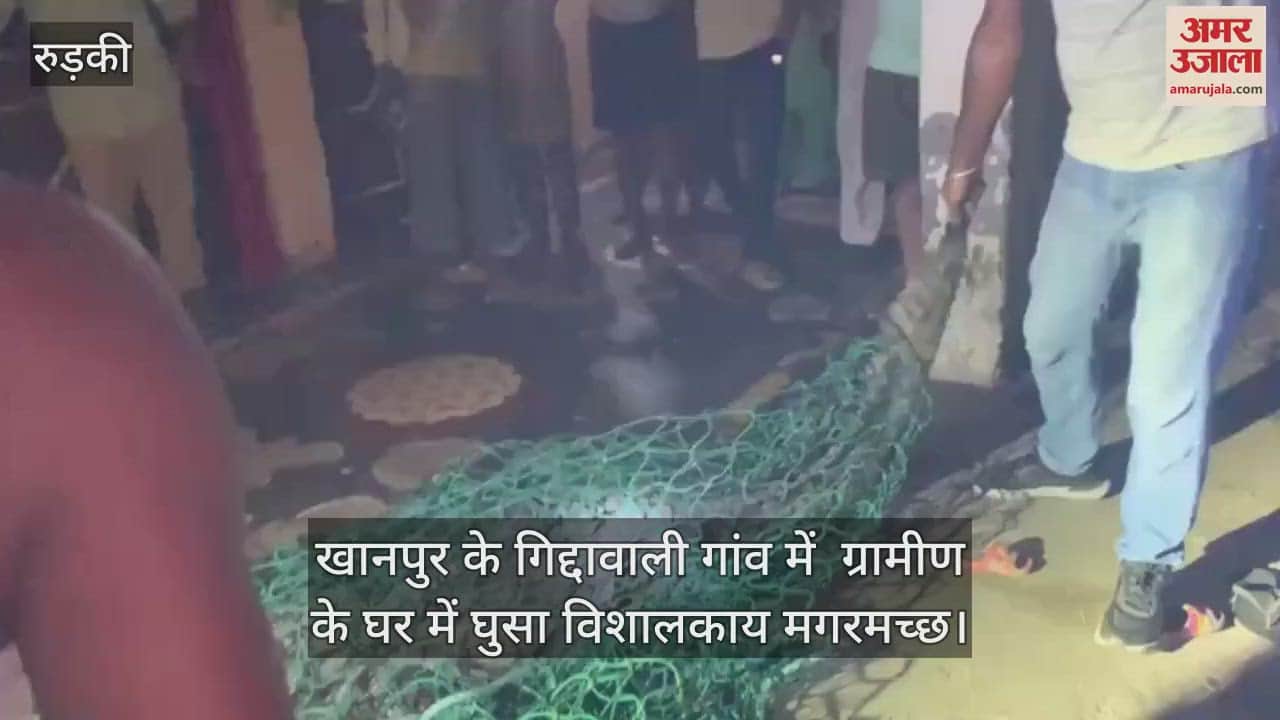 Roorkee: A giant crocodile entered a village house, people started screaming as soon as they saw it