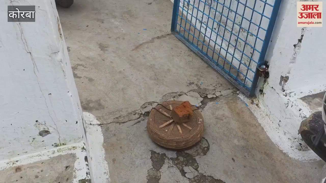 snake charmer went missing leaving his box behind in Patharipara of Korba