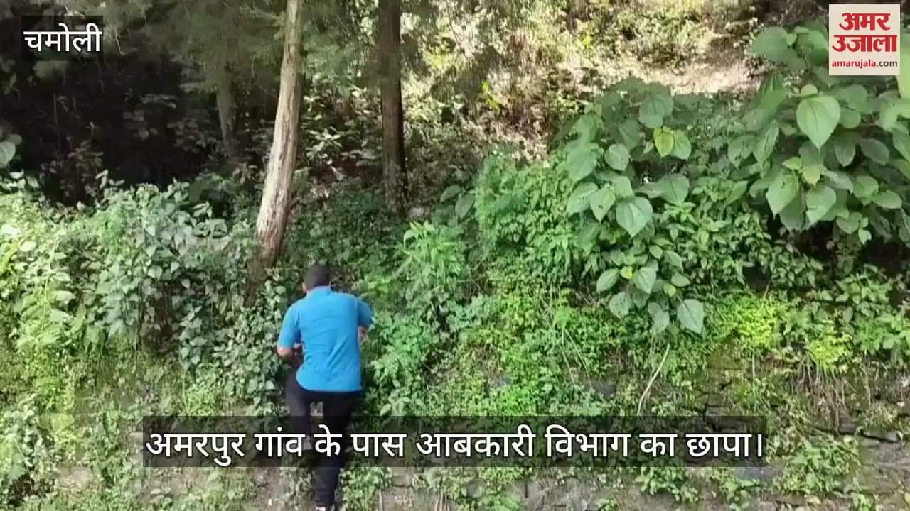 Chamoli: Excise department recovered 10 boxes of illegal English liquor from bushes near Amarpur village