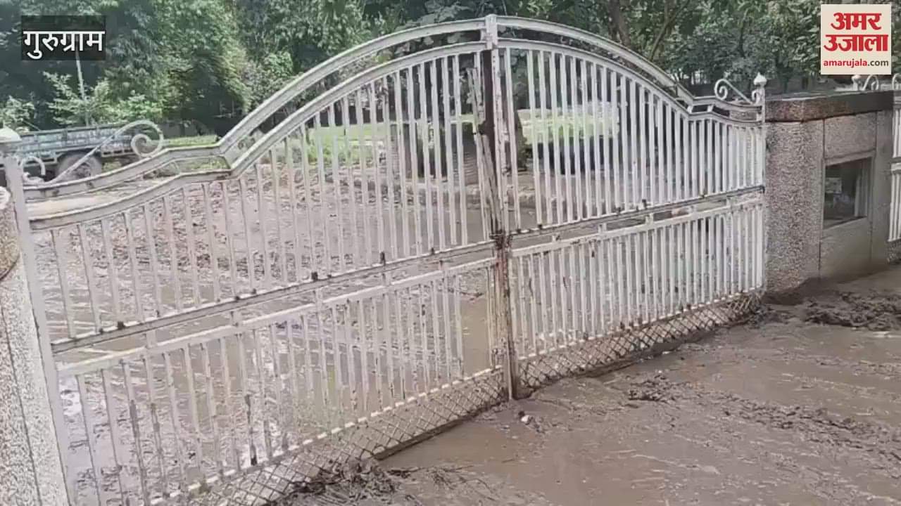 Eight Bangladeshis living illegally in Gurugram identified