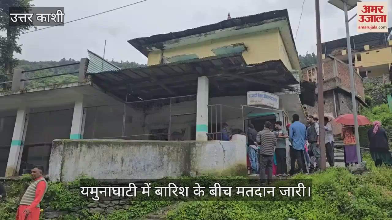 Panchayat Election: Voting continues amidst rain in Yamuna Valley, queues at booths in Naugaon, Purola and Mori