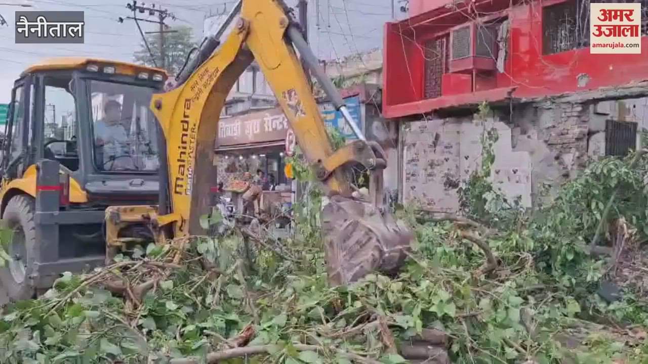 Haldwani city electricity went off due to the shifting of a peepal tree