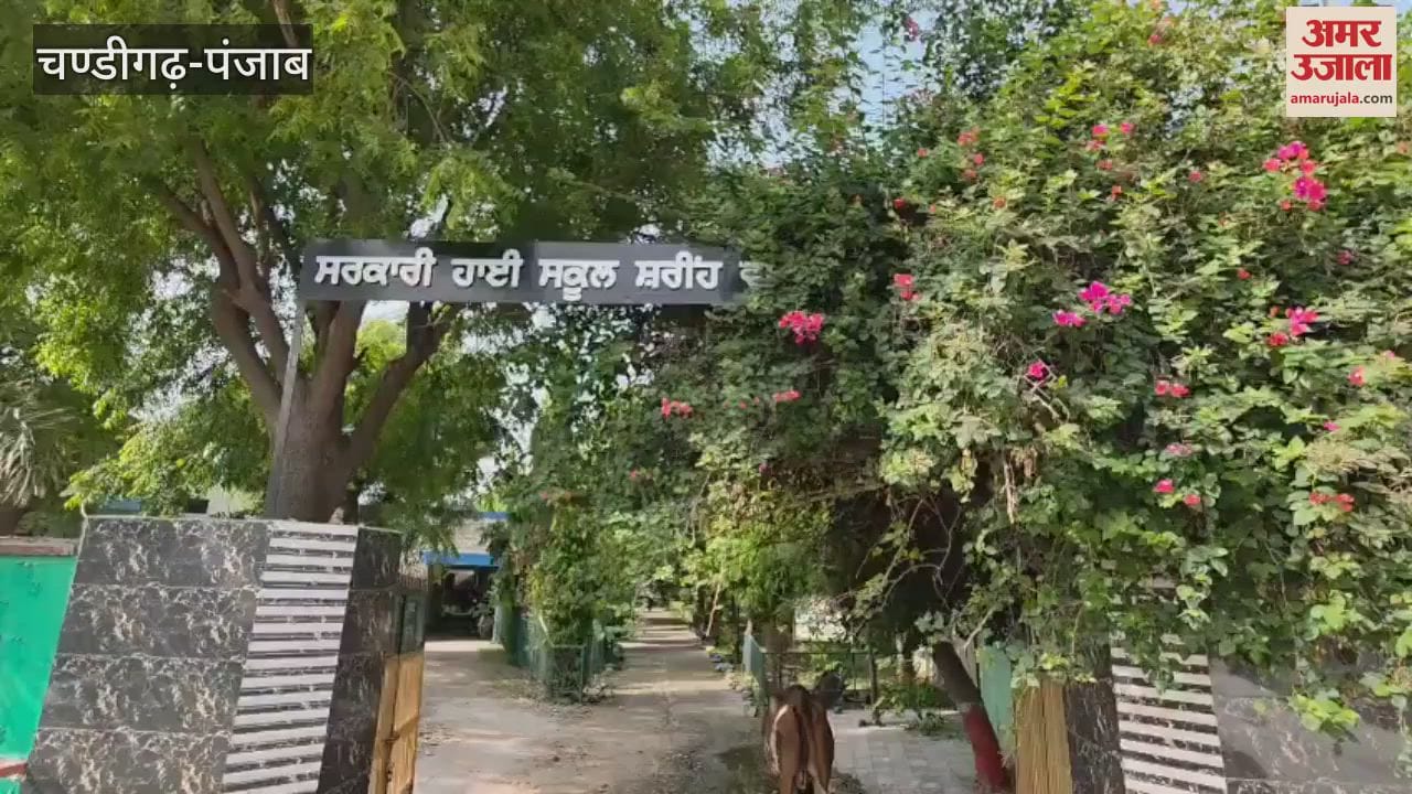Lions Club planted 100 saplings in a government school in Guruharsahaye