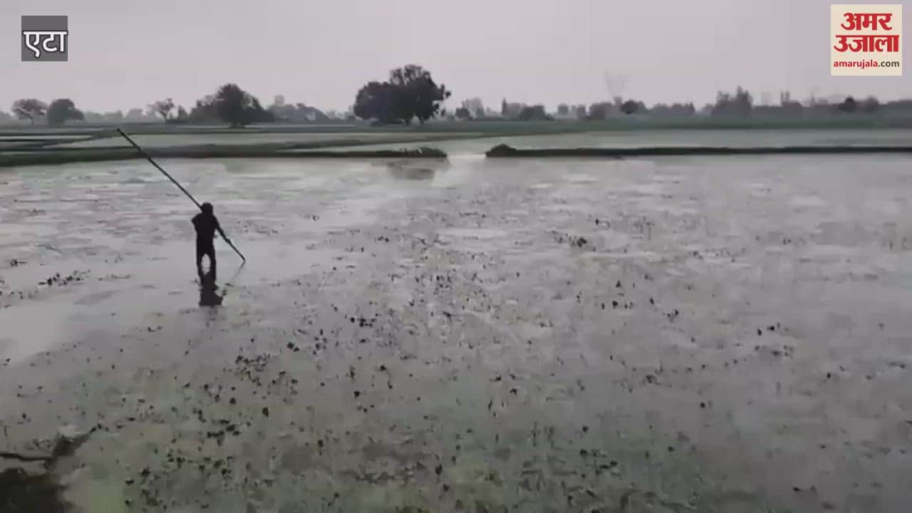 Villagers fought with two crocodiles