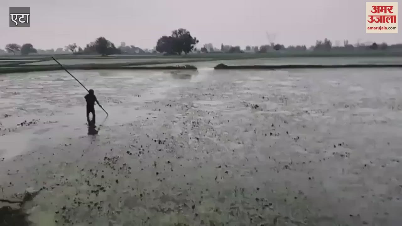Villagers fought with two crocodiles