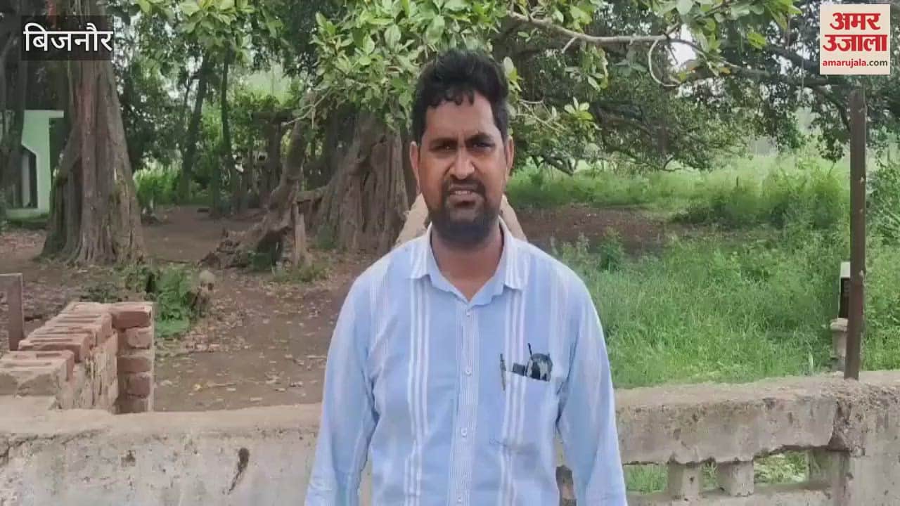 Bijnor: Banyan tree is about five hundred years old in Dhinwarpura village of Chandpur