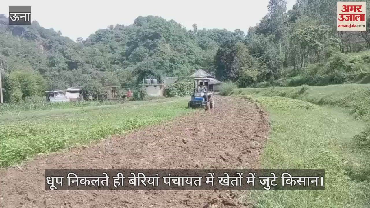As soon as the sun came out, farmers gathered in the fields in Beriya Panchayat
