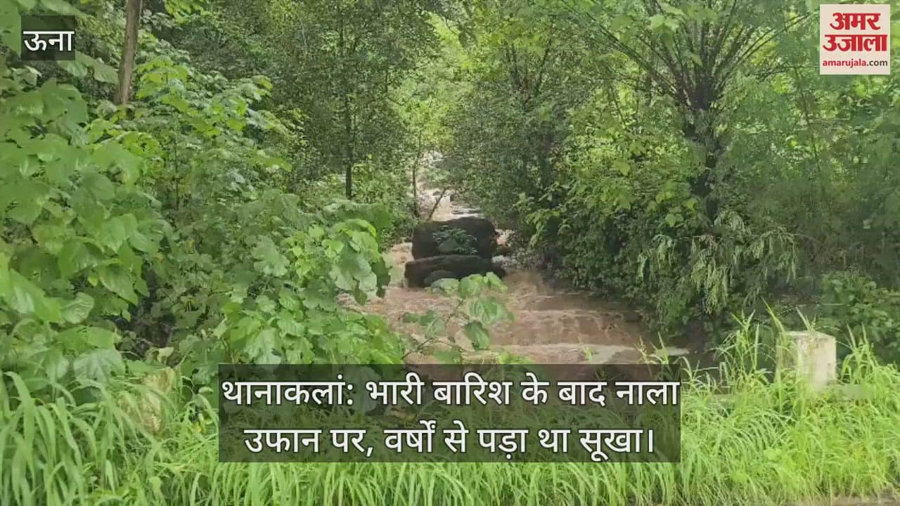 The drain was dry for years, now after heavy rain the water started flowing again