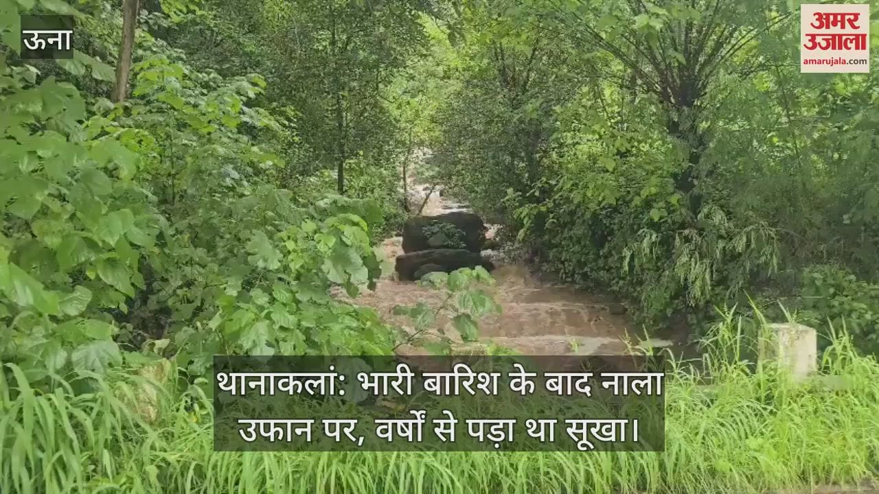 The drain was dry for years, now after heavy rain the water started flowing again