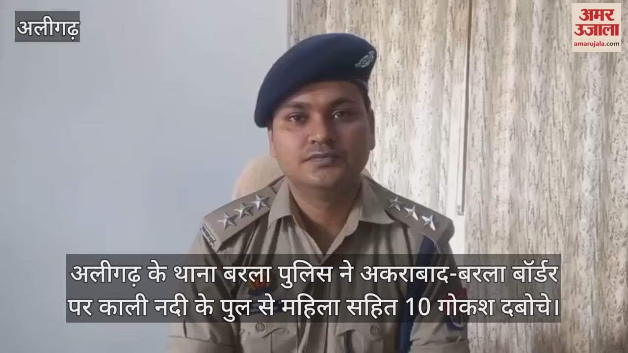 अलीगढ़ के थाना बरला पुलिस ने अकराबाद-बरला बॉर्डर पर काली नदी के पुल से महिला सहित 10 गोकश दबोचे
