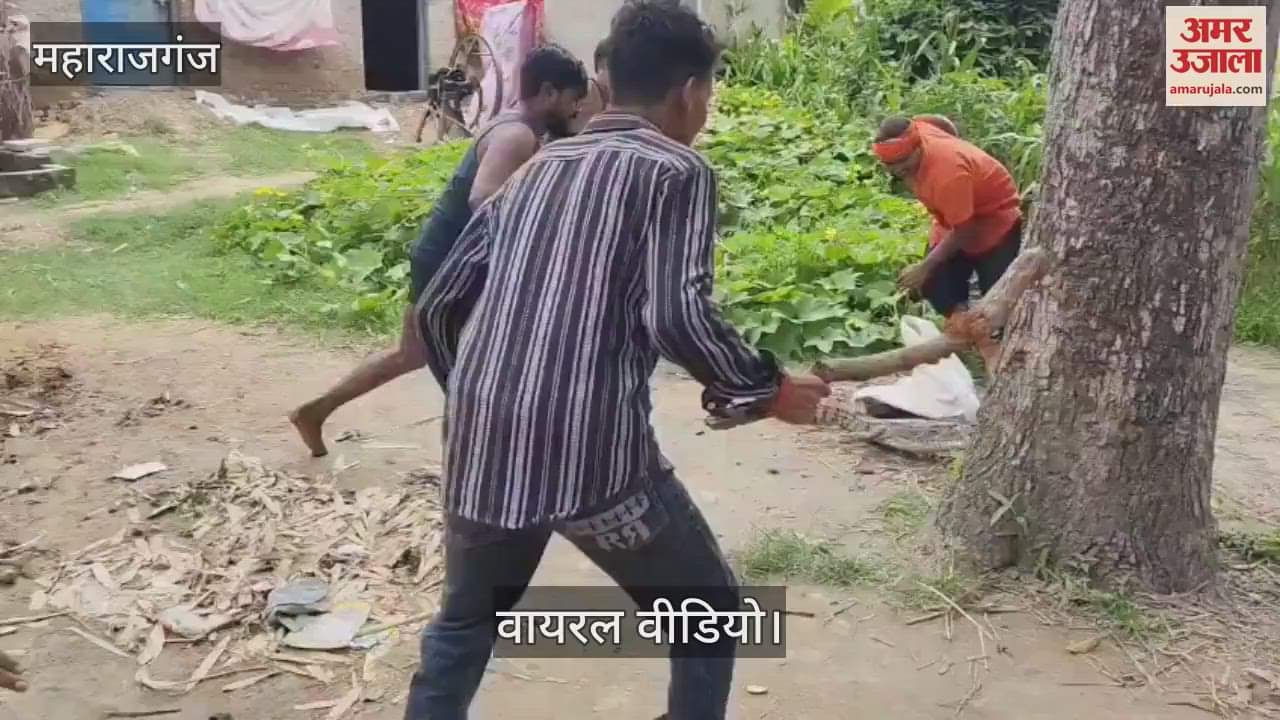 Video of releasing crocodile in Chandan river goes viral