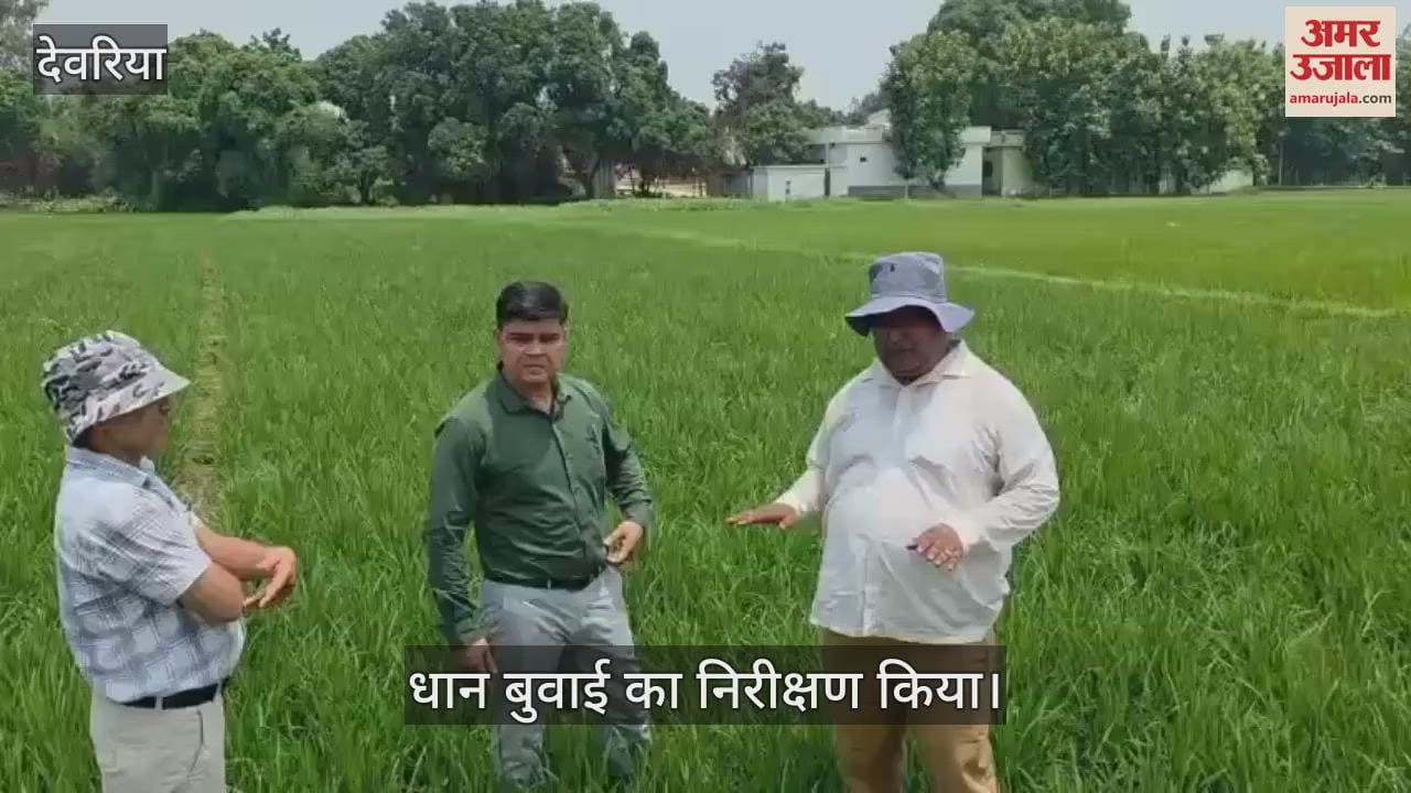 Agricultural scientists inspected direct sowing of paddy and gave advice