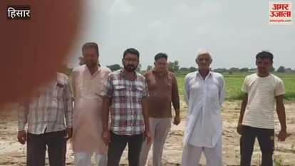 Due to spray farmer three acres of moong crop was burnt and destroyed