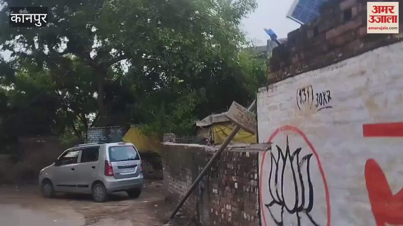 Street lights and trees have fallen on the road for many days