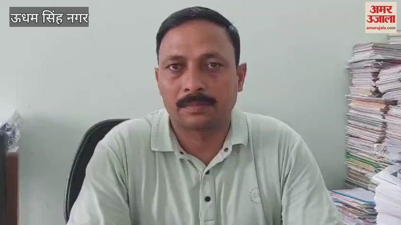 A nursery was prepared from the seeds of trees planted in the college in kashipur