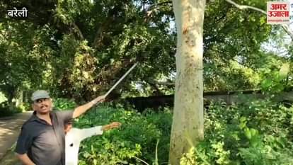 Leopard in Khaitan factory in Bareilly for the past one month