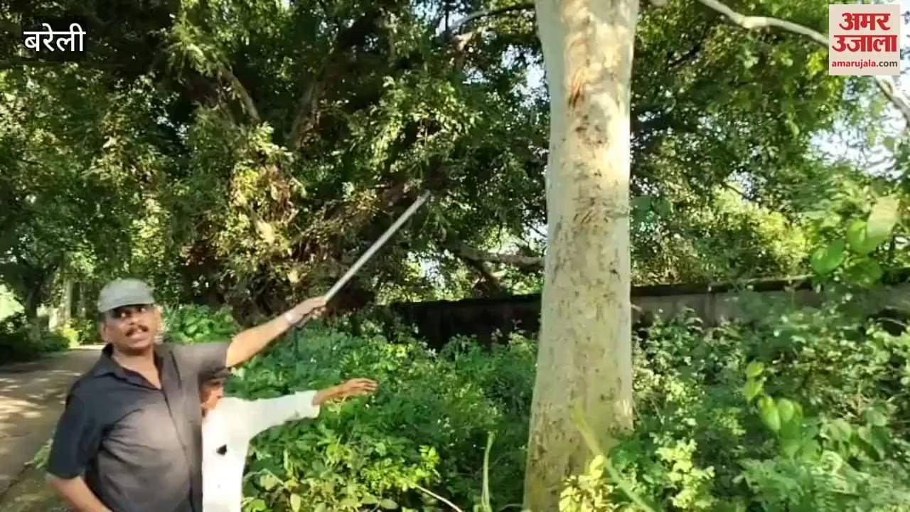 Leopard in Khaitan factory in Bareilly for the past one month