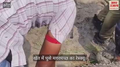 Kota News: Saved life of a 50 kg crocodile by lifting it on shoulder, was seen near school in Etawah town