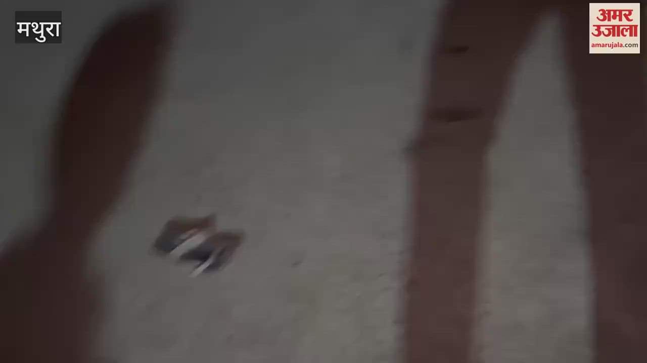 car ran over grandmother and granddaughter during crossing road