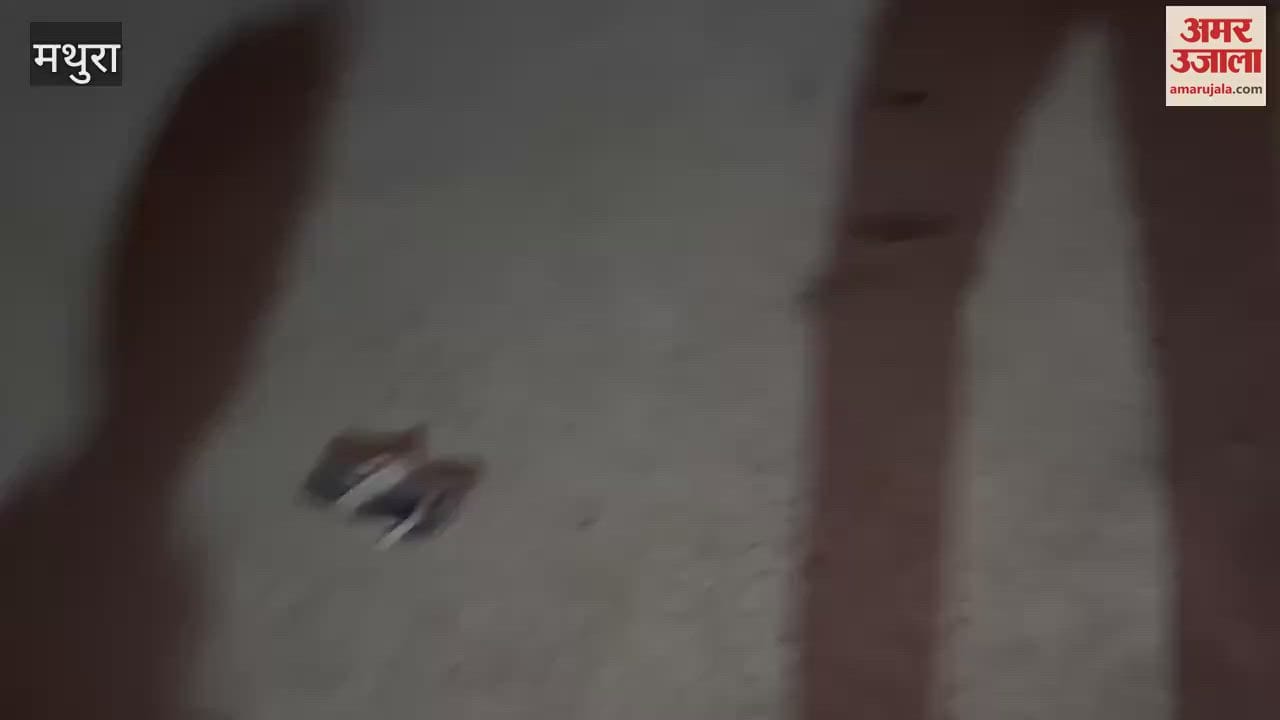 car ran over grandmother and granddaughter during crossing road