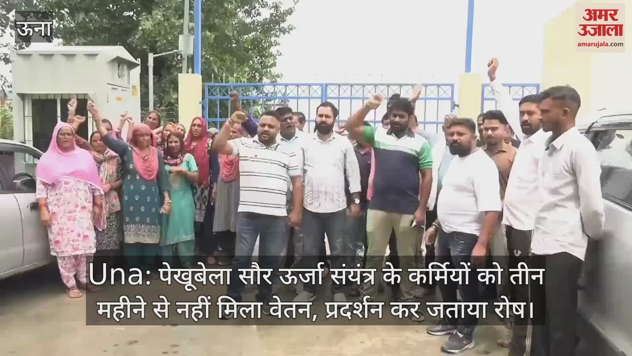 Employees of Pekhubela solar power plant have not received salary for three months, expressed anger by protesting