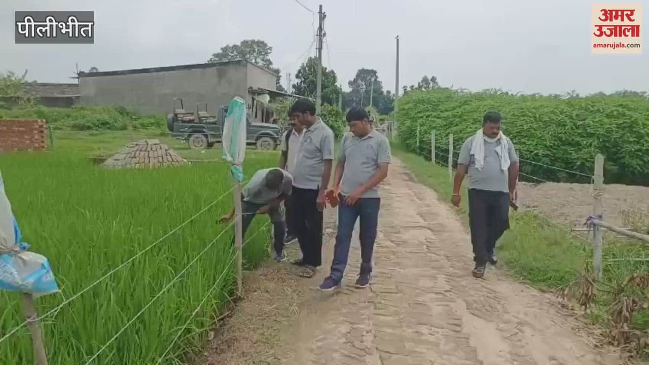 tigress passed through the courtyard of a house in Pilibhit