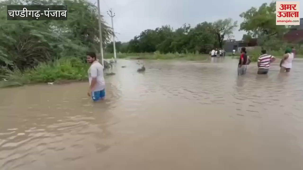 Car falls into Sem drain in Moga young man missing