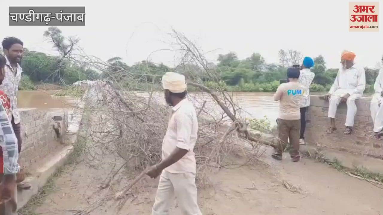 Four members of family fell into canal in Ferozepur,