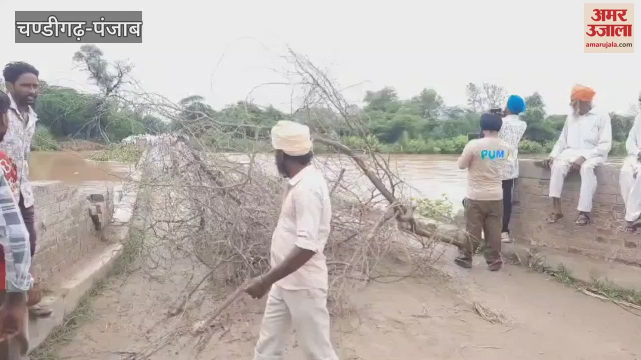 Four members of family fell into canal in Ferozepur,