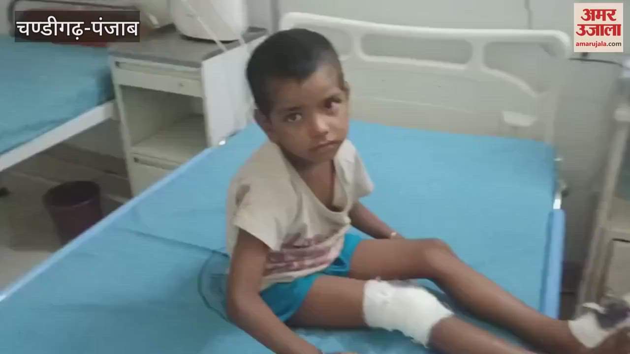 Car and e-rickshaw collide in Kapurthala eight people injured