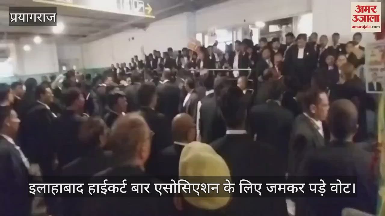 Votes were cast in large numbers for Allahabad High Court Bar Association, lawyers exercised their right to vote