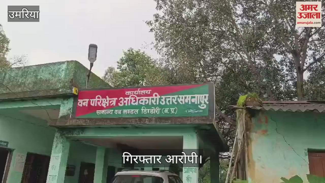 Attempt to hunt monkey, two accused arrested, court did not grant bail