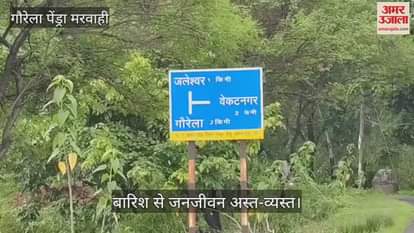 Torrential rain in Gaurela Pendra Marwahi has disrupted life rivers and streams are in spate