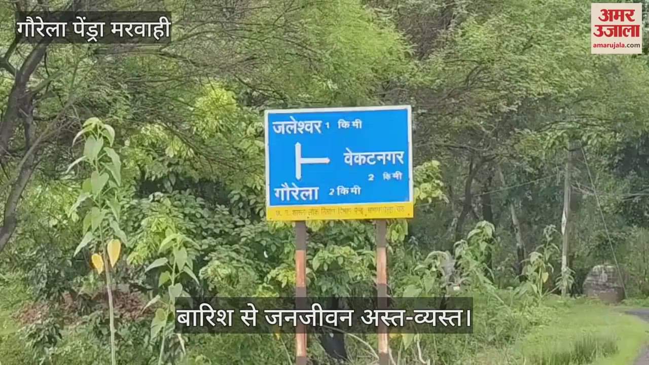 Torrential rain in Gaurela Pendra Marwahi has disrupted life rivers and streams are in spate