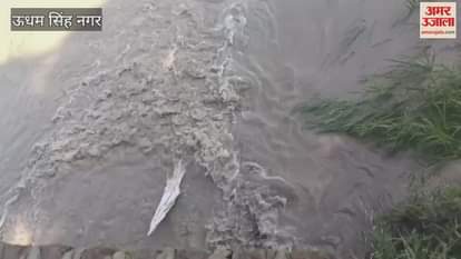 Paddy crop destroyed due to breaking of irrigation canal culvert in khatima