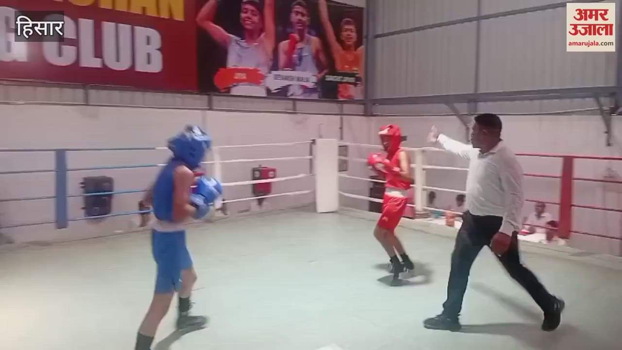 Hisar's boxer Lokesh reached the semi-finals