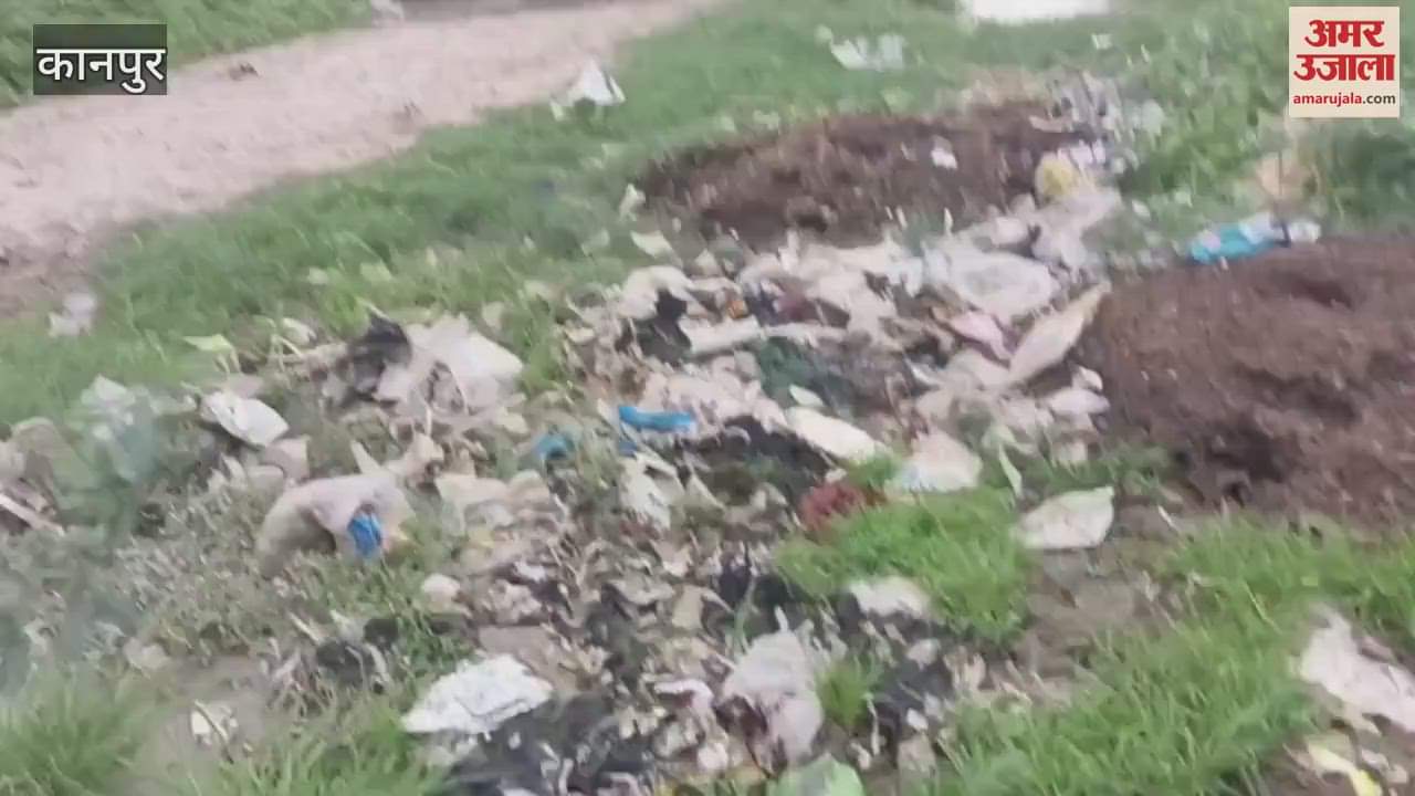 Chakeri's ward 19 has garbage dumps everywhere, local people are troubled by garbage