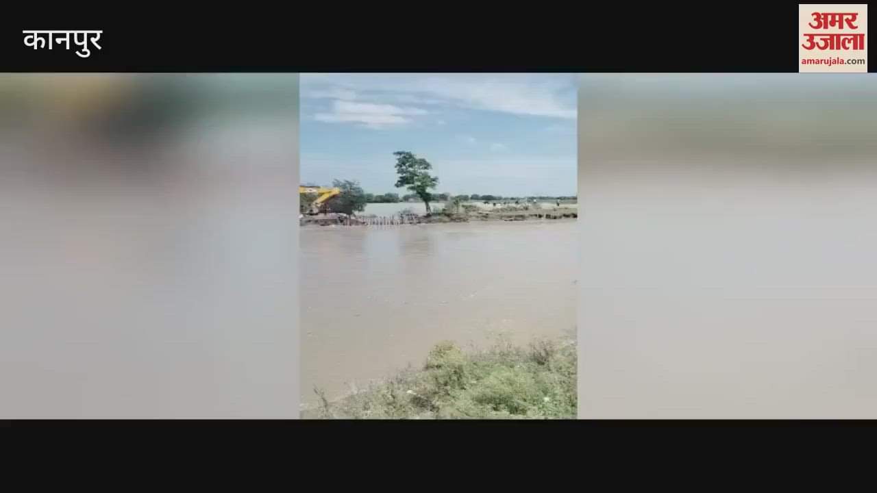 100 bigha crop submerged due to canal erosion