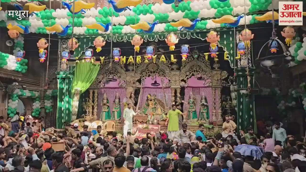 bankebihari gave darshan in a gold-silver swing on Hariyali Teej