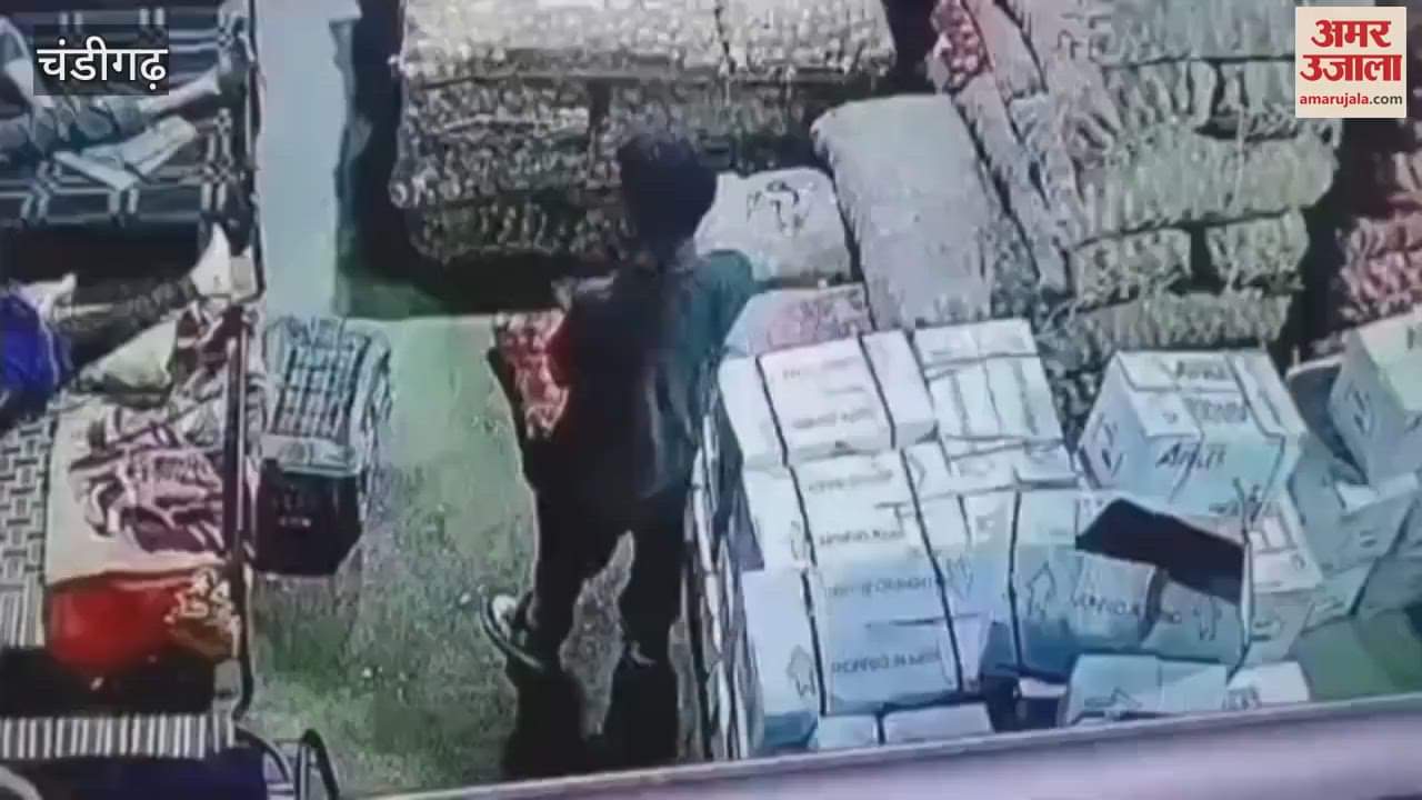 Theft in Chandigarh's vegetable market